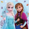 Lautasliinat>Juhlamaailma Frozen satumainen ihme suuri lautasliina 33 x 33 cm 20 kpl/pkt