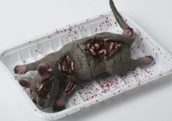 Eläimet, Hahmot Ja Ötökät|Muut Koristeet Ja Rekvisiitat>Création de Hanninger GmbH u0026 CO.KG, Breslauer Strasse 25, D-64646 Heppenheim, www.zoelibat.com Halloween koriste rotta