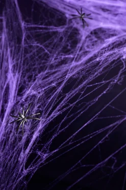 Muut Ripustettavat Koristeet|Halloween>PartyDeco sp. z o.o. sp. k., ul. Kolumba 1, 70-035 Szczecin, www.partydeco.com Hämähäkinseitti violetti 60 g