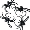 Eläimet, Hahmot Ja Ötökät|Halloween>Ilmapallokeskus Balloon Center Oy Part of Toyrock Group, Tiilipojanlenkki 9, 01720 VANTAA, www.ilmapallokeskus.fi Hämähäkki suuri 4 kpl/pkt
