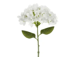 Ystävänpäivä|Muut Koristeet Ja Rekvisiitat>PartyDeco sp. z o.o. sp. k., ul. Kolumba 1, 70-035 Szczecin, www.partydeco.com Hortensia 35 cm, valkoinen