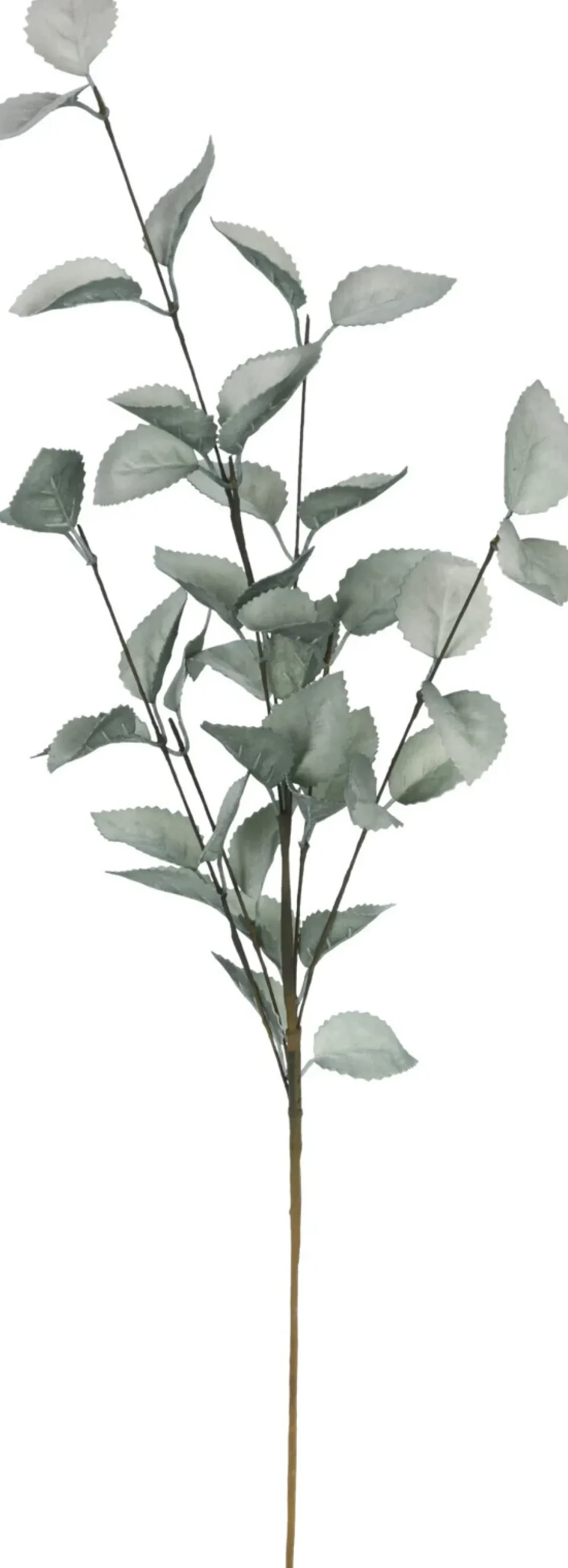 Pääsiäinen|Muut Koristeet Ja Rekvisiitat>Koopman International B.V., Distelweg 88, 1031 HH AMSTERDAM, www.koopmanint.com Koristeoksa 79 cm lajitelmatuote, 4 eri väriä