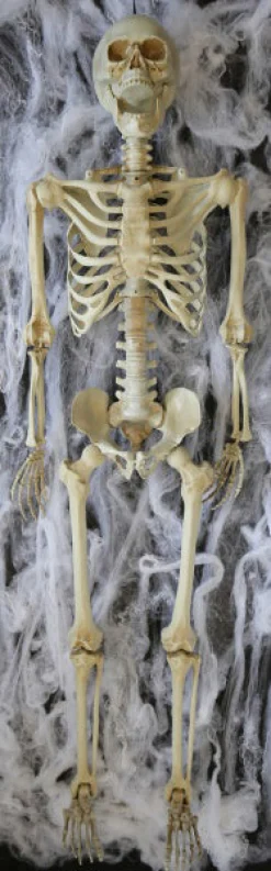 Ripustettavat Hahmot|Muut Ripustettavat Koristeet>IV Beck / Amscan Europe GmbH, Dettinger Str. 148, 73230 Kirchheim/Teck, Germany, www.amscan-europe.com Luuranko n. 160 cm