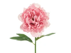 Ystävänpäivä|Muut Koristeet Ja Rekvisiitat>PartyDeco sp. z o.o. sp. k., ul. Kolumba 1, 70-035 Szczecin, www.partydeco.com Pioni 35 cm, pinkki