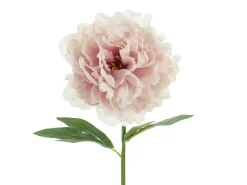 Ystävänpäivä|Muut Koristeet Ja Rekvisiitat>PartyDeco sp. z o.o. sp. k., ul. Kolumba 1, 70-035 Szczecin, www.partydeco.com Pioni 35 cm, vaaleanpunainen