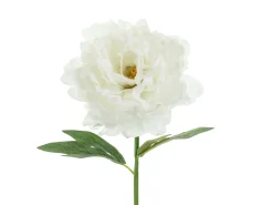 Ystävänpäivä|Muut Koristeet Ja Rekvisiitat>PartyDeco sp. z o.o. sp. k., ul. Kolumba 1, 70-035 Szczecin, www.partydeco.com Pioni 35 cm, valkoinen