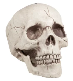 Halloween>Boland Party Partners, P. O. Box 518, AK ALPHEN A/D RIJN, https://boland.eu Pääkallo koriste liikkuvalla leualla 16x14x21 cm