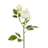 Ystävänpäivä|Muut Koristeet Ja Rekvisiitat>PartyDeco sp. z o.o. sp. k., ul. Kolumba 1, 70-035 Szczecin, www.partydeco.com Ruusu kahdella nupulla 55 cm, kermanvärinen